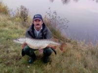 Salmo voblery na pstruhov, zubáčov, šťuky, sumcov, boleňov, ostriežov, mreny, jalcov,... Salmo voblery na pstruhov, zubáčov, šťuky, sumcov, boleňov, ostriežov, mreny, jalcov,...